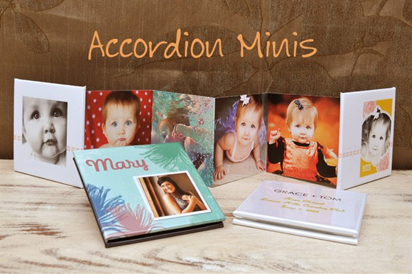 Accordion Minis-Minimum order is 3 (lab rules)